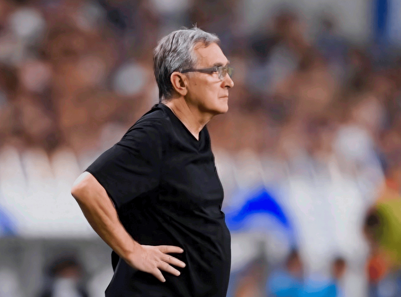 开云体育中国-球员表现稳定，球队晋级希望大增的简单介绍