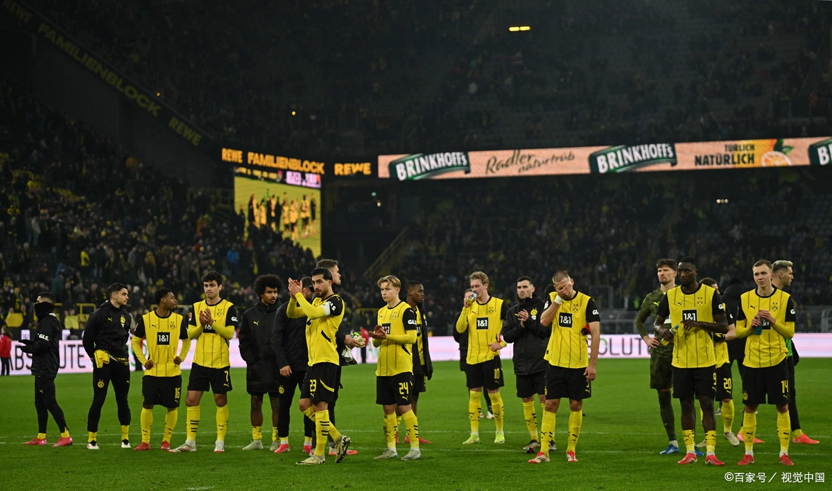 沃尔夫斯堡主场逆转,豪取胜利的简单介绍 沃尔夫斯堡主场逆转,豪取胜利的简单介绍