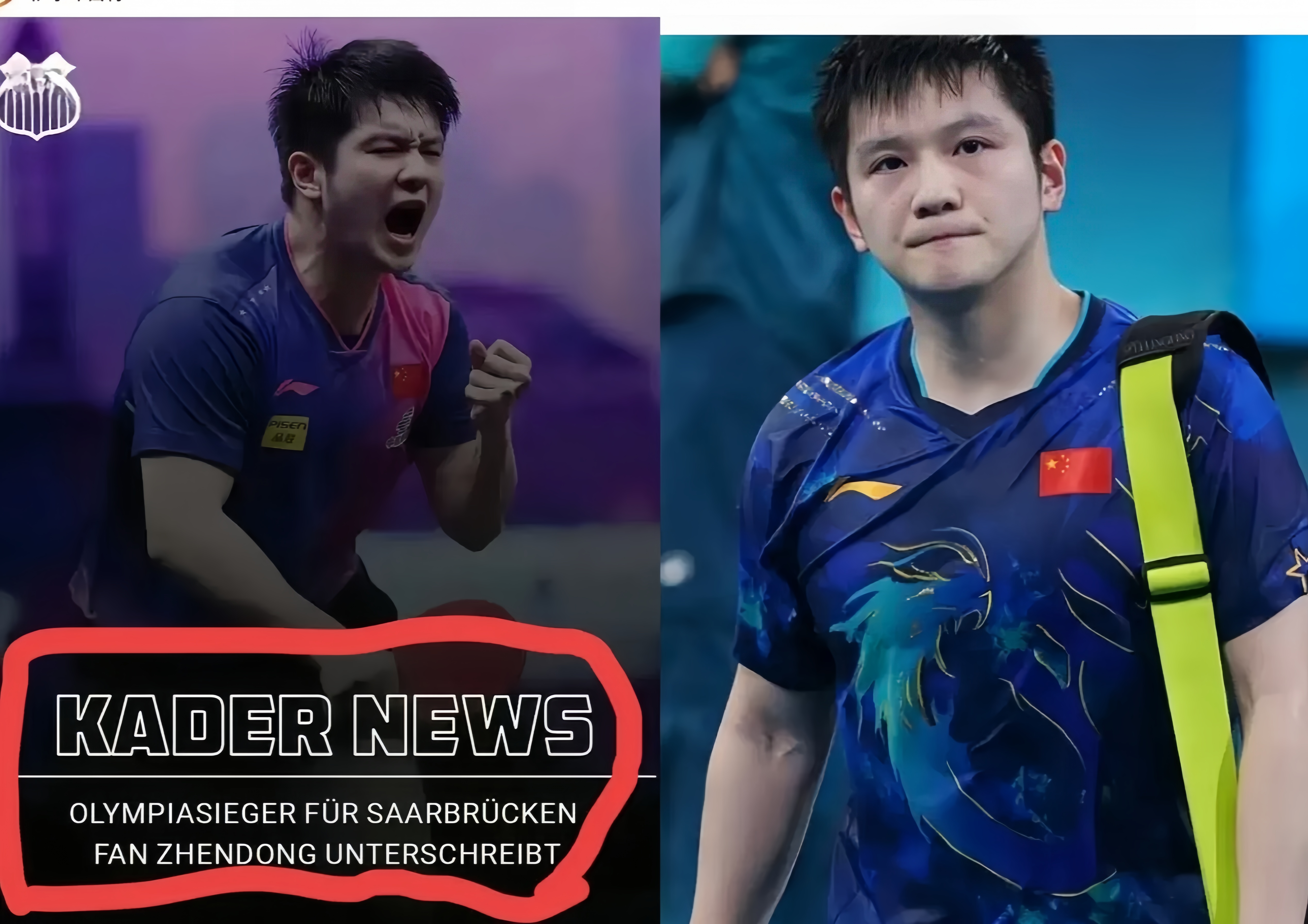 法国队碾压德国队,樊振东状态火热 法国队碾压德国队,樊振东状态火热