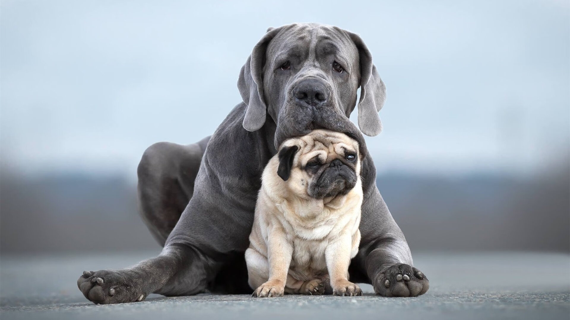 开云APP-足球篮球跨界交锋，当掘金战术棋盘在欧冠半决赛的绿茵场上全面压制国王