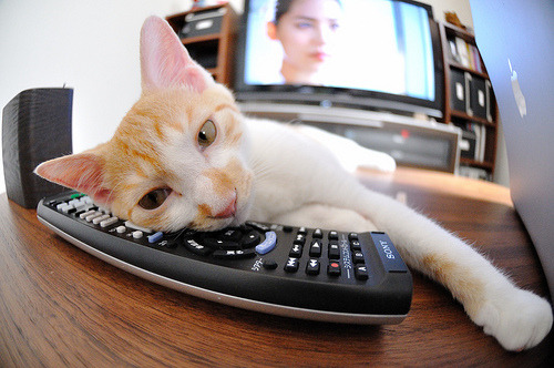 开云体育入口-杰伦格林惊天爆发！深圳队上演跨洋奇迹，最后时刻绝杀凯尔特人