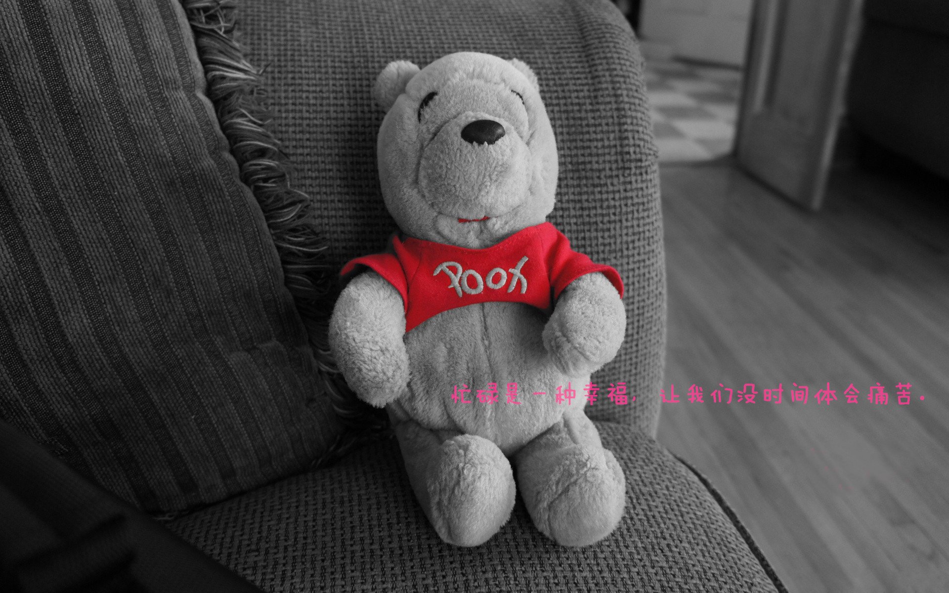 开云体育APP下载-蓝黑与天蓝，当哥伦比亚冰川封锁荷兰郁金香