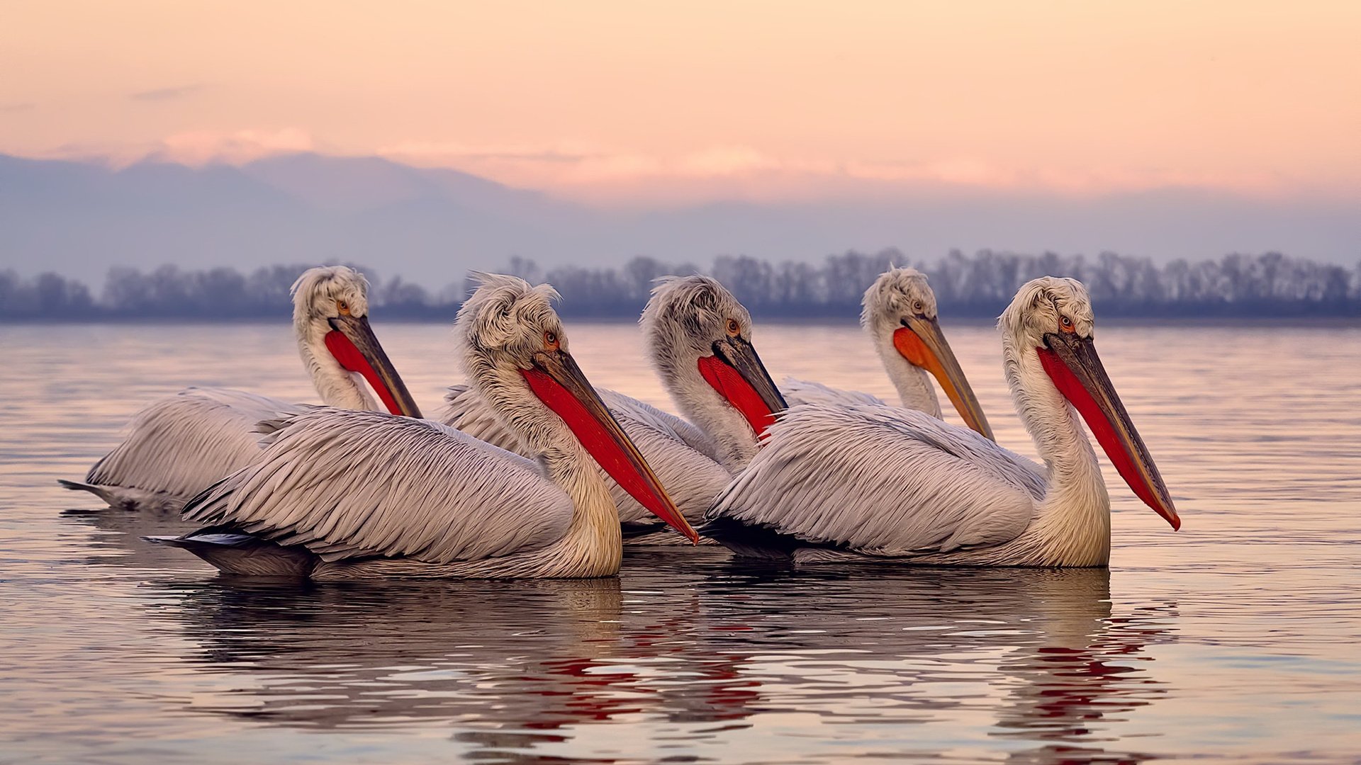 开云体育官网-冷夜教科书，突尼斯狂胜背后，姆巴佩的另一种答案