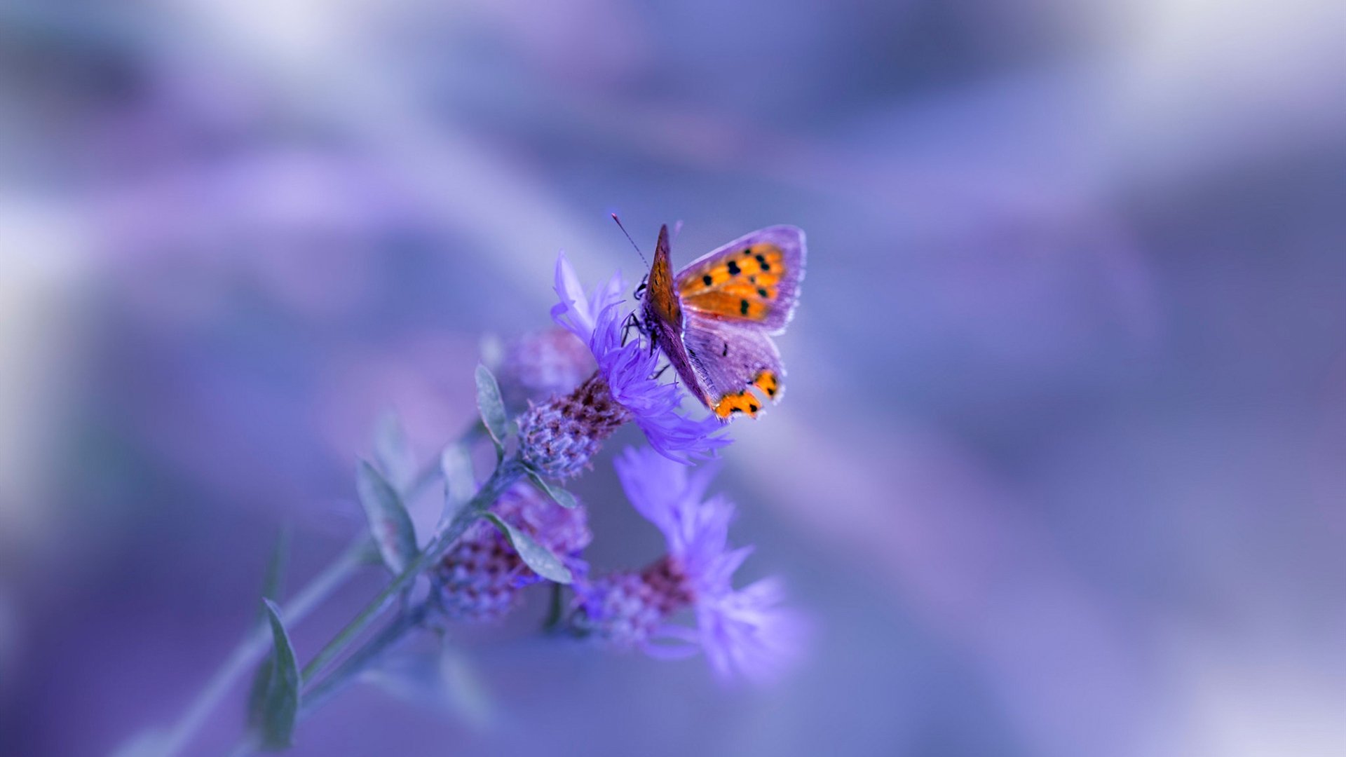 开云体育中国-星河崩塌处，他镌刻永恒，欧冠半决赛之夜，切特展现巨星价值