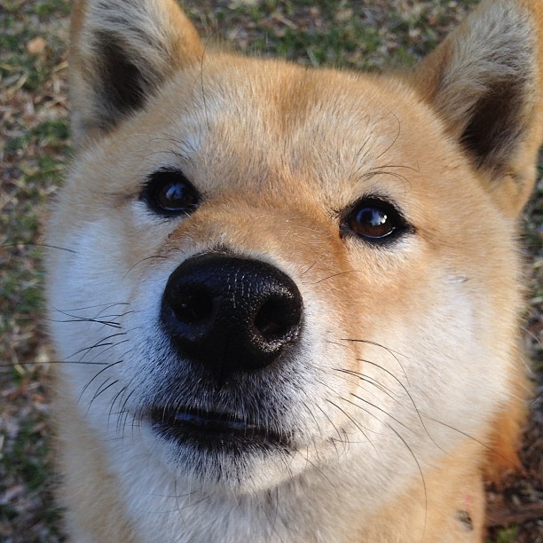 塔图姆统治攻防两端,凯尔特人主场力克魔术