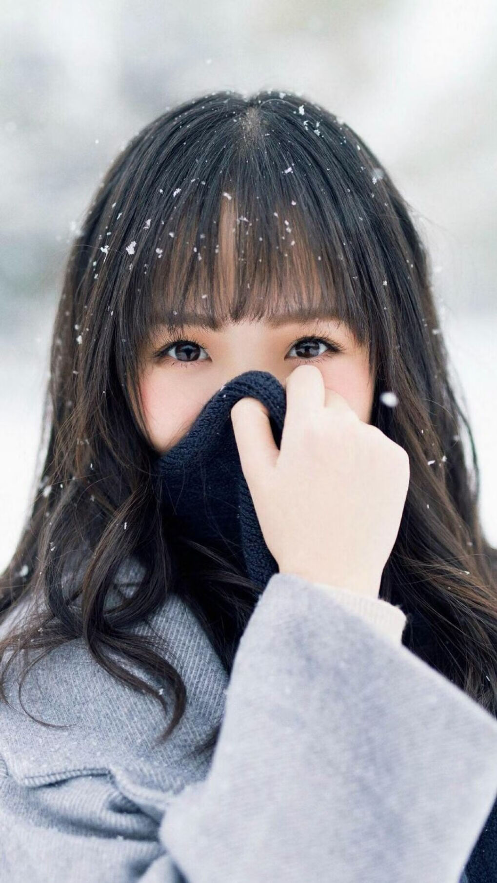 寂静中的惊雷，哈利伯顿爆发诠释天赋，开拓者铁血终结猛龙连胜