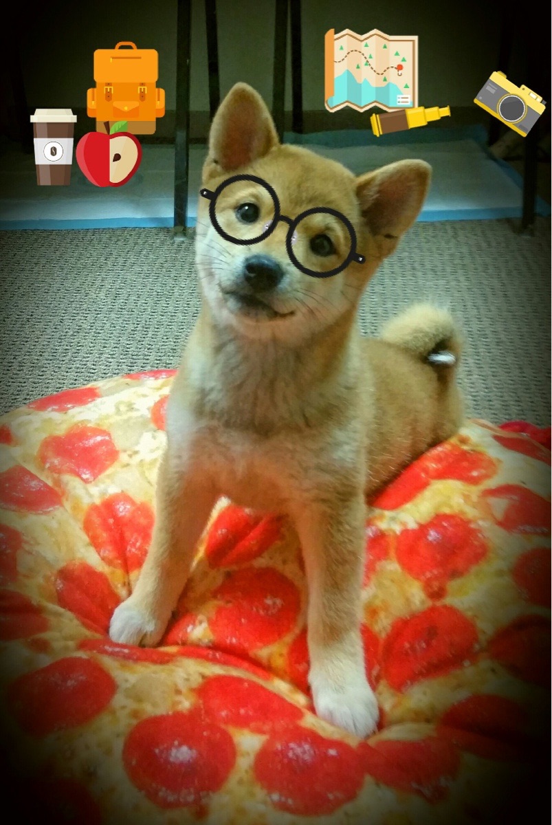 毕尔巴鄂的铁拳粉碎埃及迷梦,孔德利刃出鞘化身关键先生