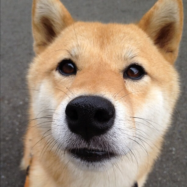 绿茵与硬木的交响,西甲国家德比的足球史诗与新疆队征服尼克斯的篮球传奇