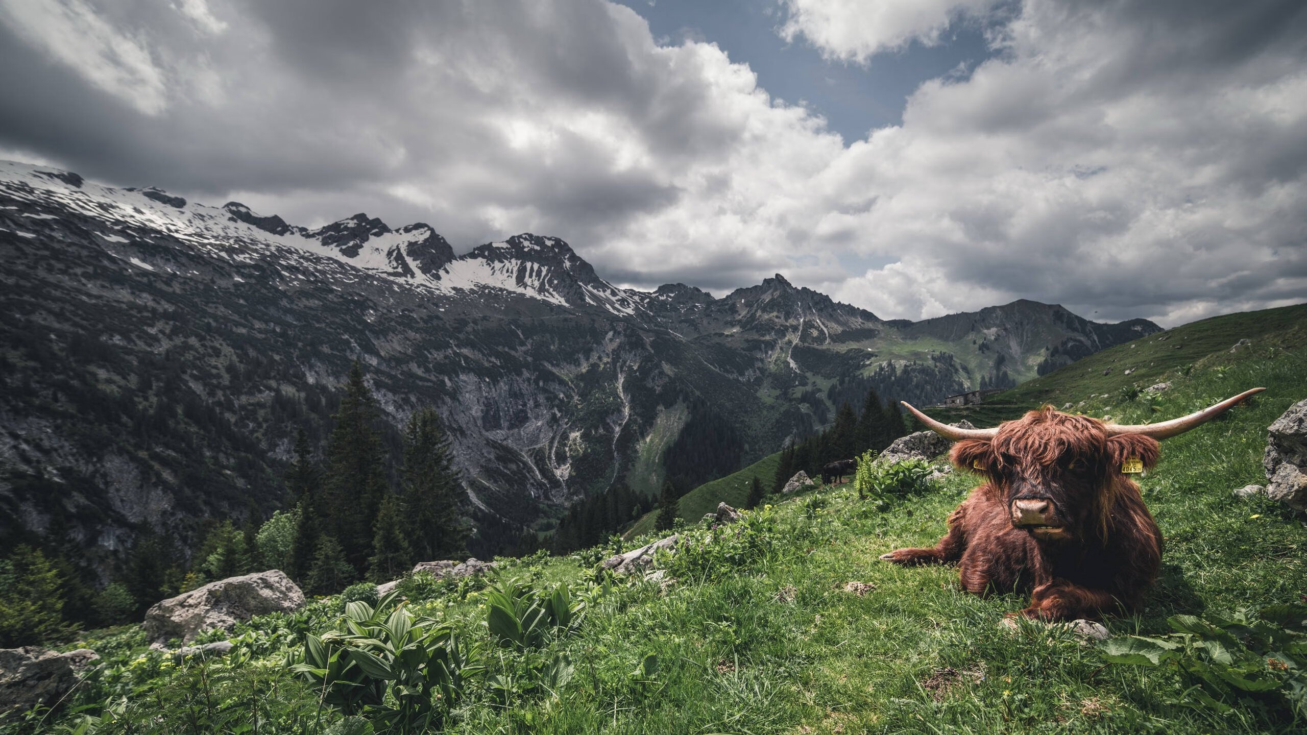 罗马决胜局带走毕尔巴鄂，欧冠淘汰赛焦点战震撼落幕