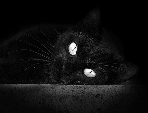 硬仗中的胜利,日本队力克中国队,卡拉斯科关键战不负众望