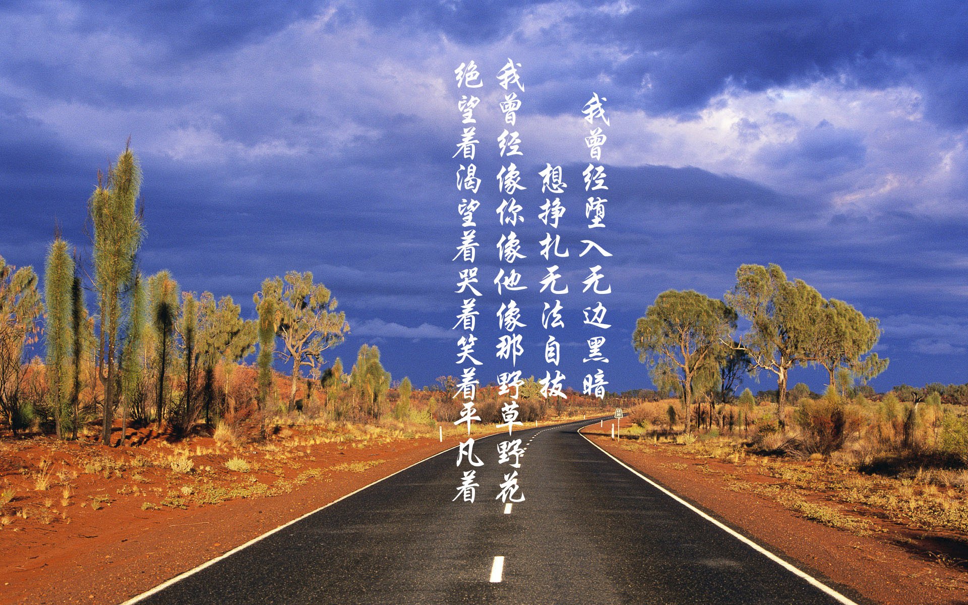 绿茵场的双重奏,阿尔及利亚的沉默怒吼与伯纳乌的青春风暴