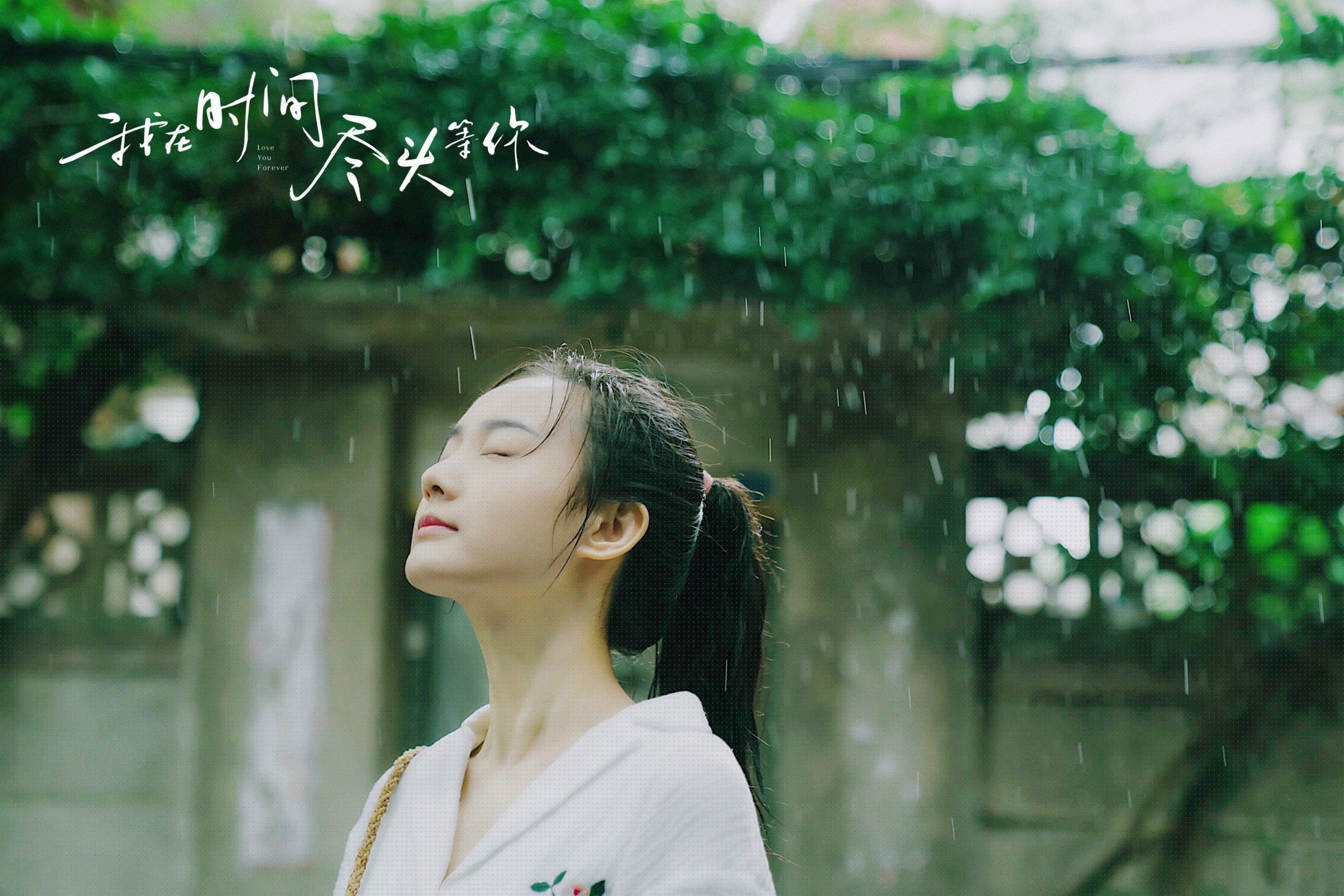 铁血与流星,当坎特的哲学照亮委内瑞拉的反叛