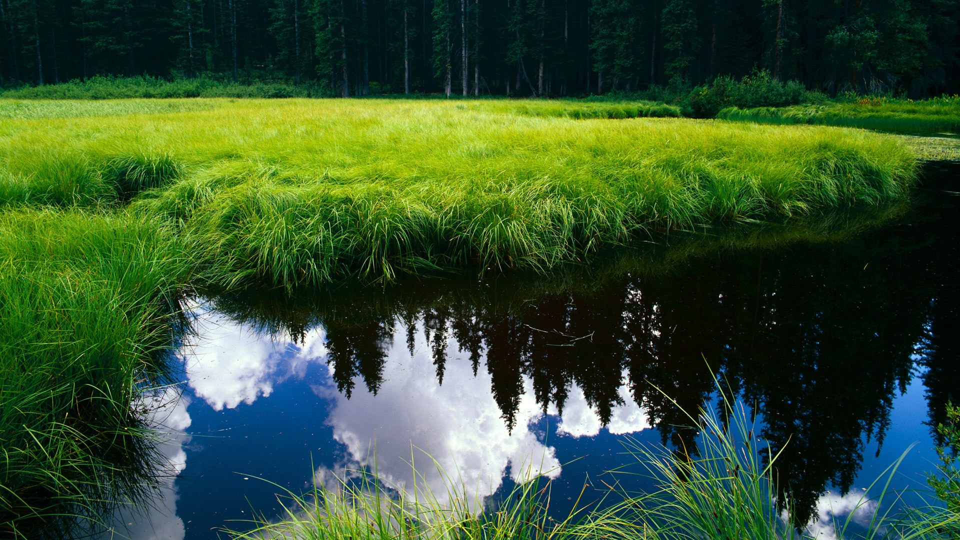 双城记,欧冠史诗逆转与NBA的荣耀告别