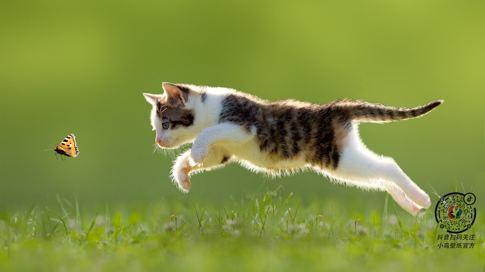 开云平台-铁血对决见证后防升华！马德里竞技0-0塞维利亚，富安健洋锁死边路展现巨星价值